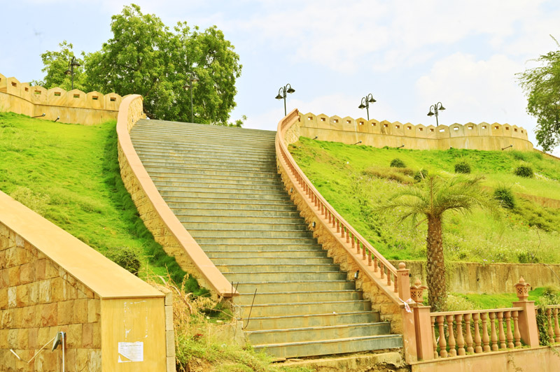 Slide Image
